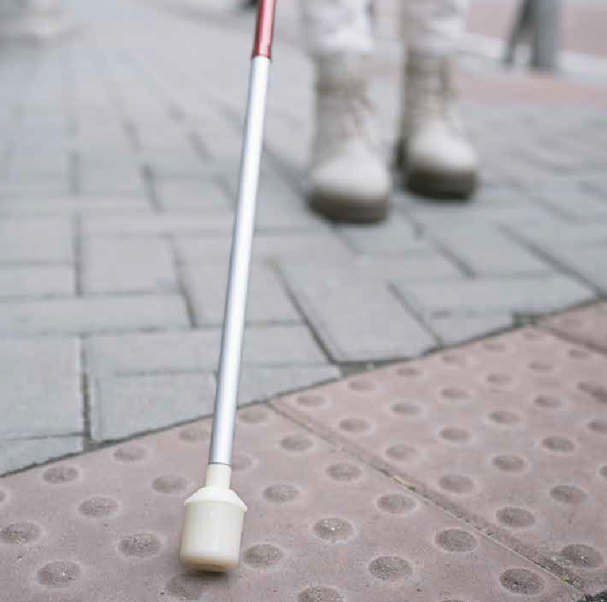 Linea Accesibilidad